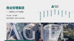 海口所批复的CBD商务区所正在